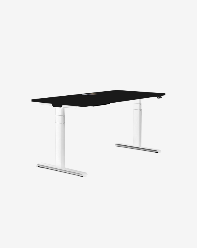 Adjustable Desks