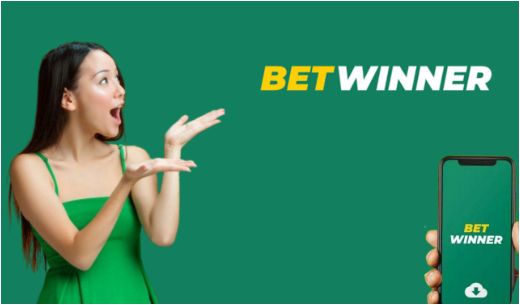 Experience the Thrills of Betwinner Casino Your Ultimate Gaming Destination