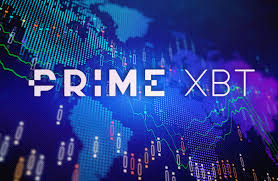 Exploring the PrimeXBT Platform A Comprehensive Guide