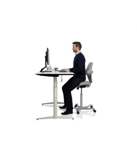 HALLNING_HAG_CAPISCO_SITTING VARIATION_2